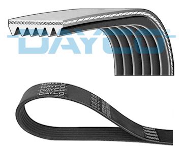DAYCO Ремень ручейковый DAYCO 6PK167