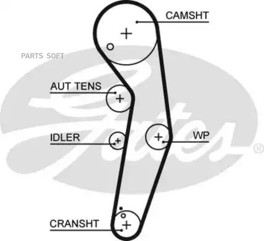 GATES Ремень ГРМ GATES 5569XS