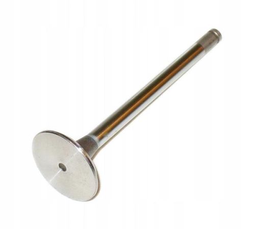 Клапана Выпускного 7.01x12.06x49 Renault R19/Clio/Megane 1.2-1.6 88> GIEFFE G5251