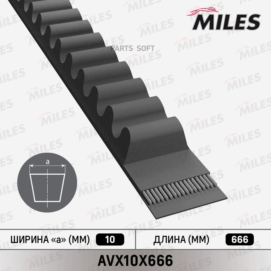 Ремень Клиновой Miles арт. AVX10X666