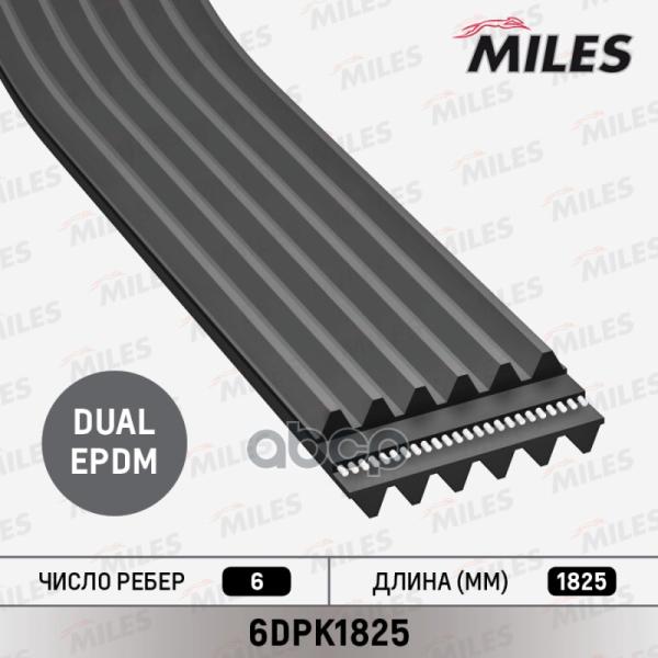 Ремень Ручейковый Miles 6dpk1825 Miles арт. 6DPK1825